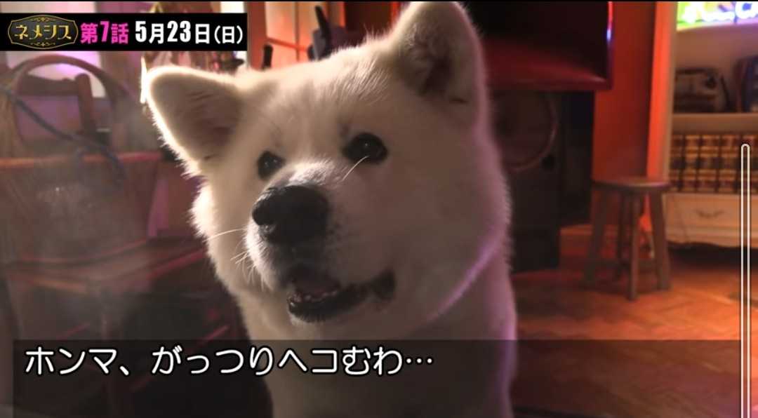 ネメシスのマーロウくんのヒント サラリーメン メディア考察のブログ 楽天ブログ