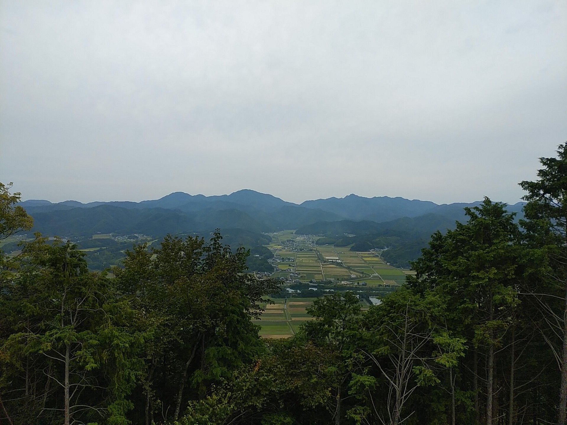 高城山 八上城趾 こた こたやんの寺子屋日記 楽天ブログ