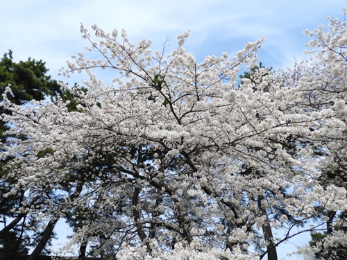 皇居東御苑