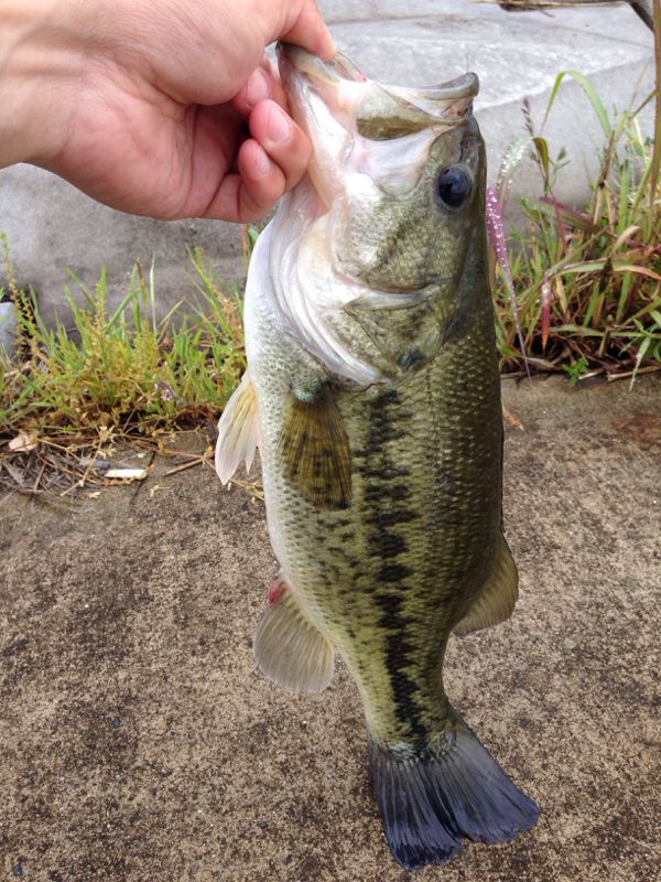 rblog-20140513133041-01.jpg