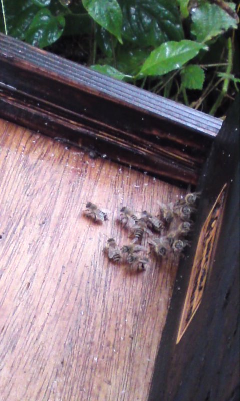 120618_0807~01.jpg