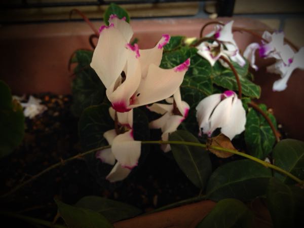 rblog-20141225182730-03.jpg