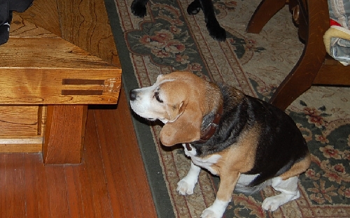 DSC_0030.JPG