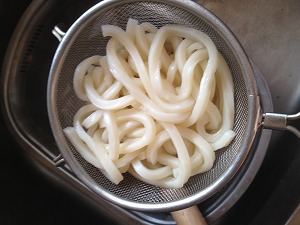 ドッグヌードル