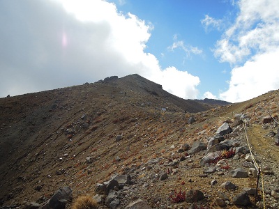 DSCN6088s.jpg