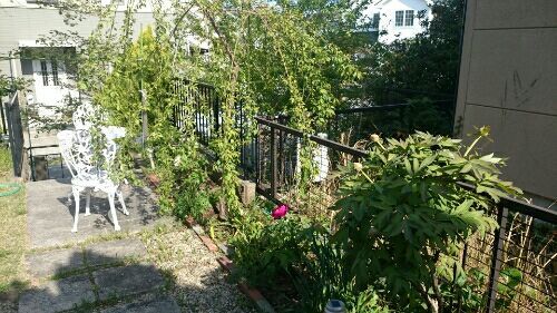 rblog-20180420214952-02.jpg
