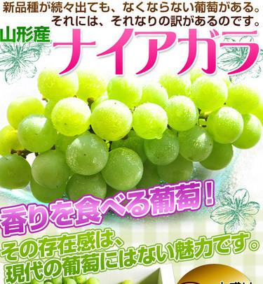 ナイヤガラ.jpg