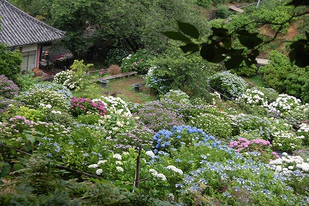 DSC_0922.jpg