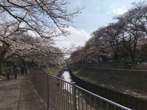 rblog-20190331200607-08.jpg