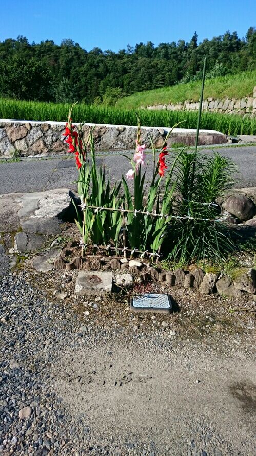 rblog-20150720171104-00.jpg