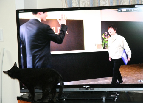 20120922ﾀｸ03.jpg