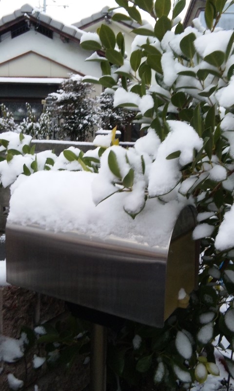 H24.02.03雪3.JPG