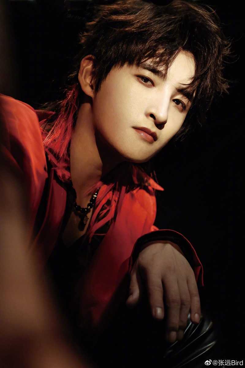 【纯享】张远 演唱爆红歌曲《嘉宾》,简直是声音催泪弹! 《最好的舞台S2》BestStageS2【东方卫视官方频道】 中国ドラマ