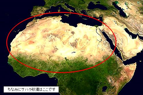 世界最大の砂漠 耳 ミミ とチャッピの布団 楽天ブログ