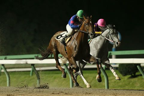 17ページ目の 横川典視 地方競馬の楽天競馬 日替わりライターブログ 楽天ブログ