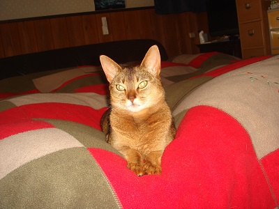DSC09246.JPG