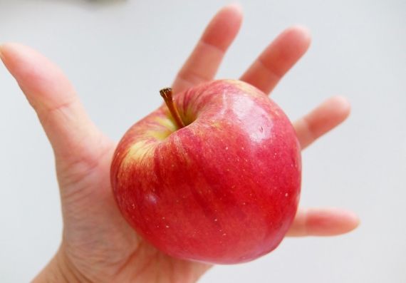 アップル クランブル タルト apple crumble tart　コストコ ガラ りんご