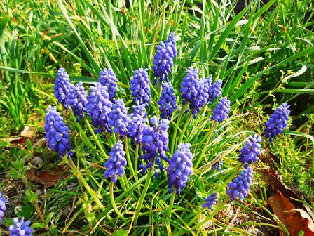 DSCN9577a.jpg