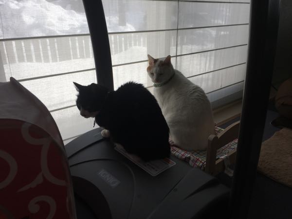 rblog-20180116062205-02.jpg