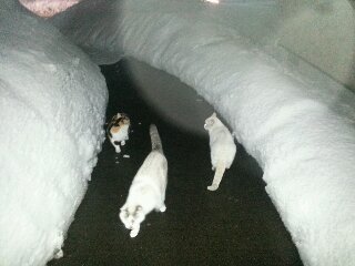 20130130_211251-1.jpg
