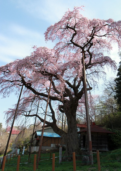150419_41.jpg
