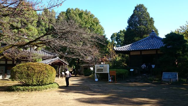 2015-11-03 13.18.10.jpg