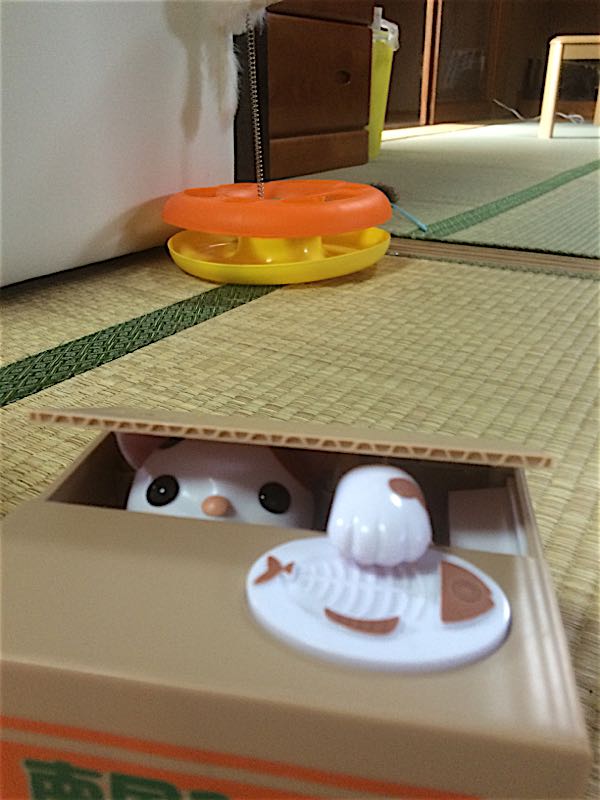 rblog-20151011185115-03.jpg