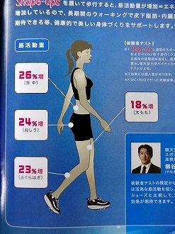 スケッチャーズ