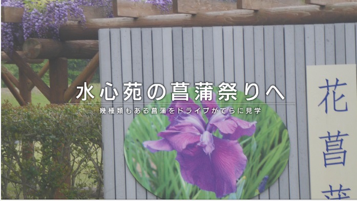 菖蒲園デジブック