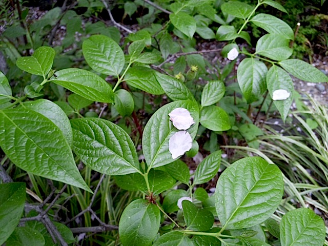 120426_131934.jpg