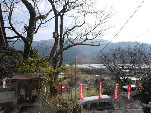 P1160896.jpg