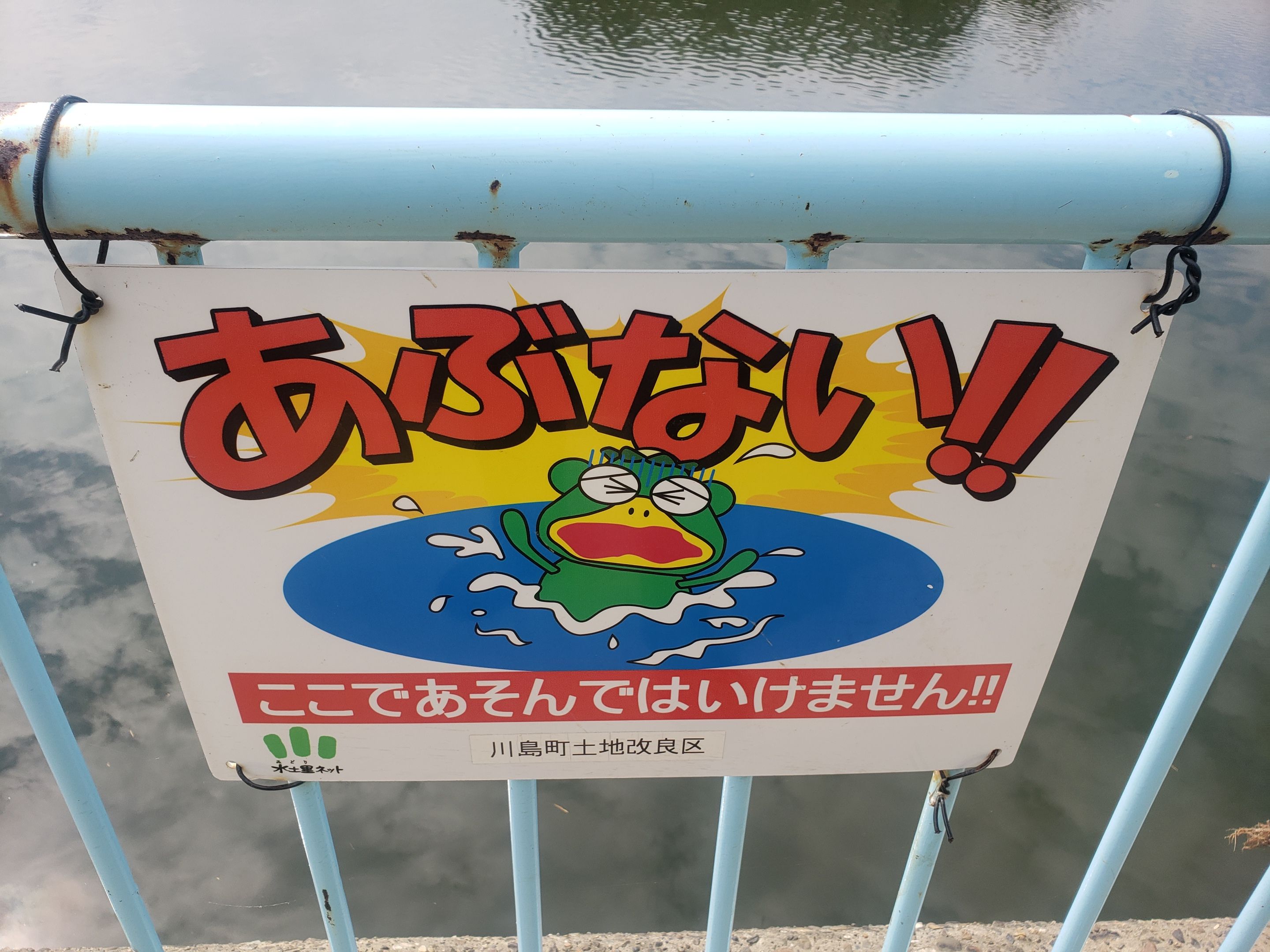 越辺川でスモールマウス 反応良い 釣りと車の不定期日記 楽天ブログ