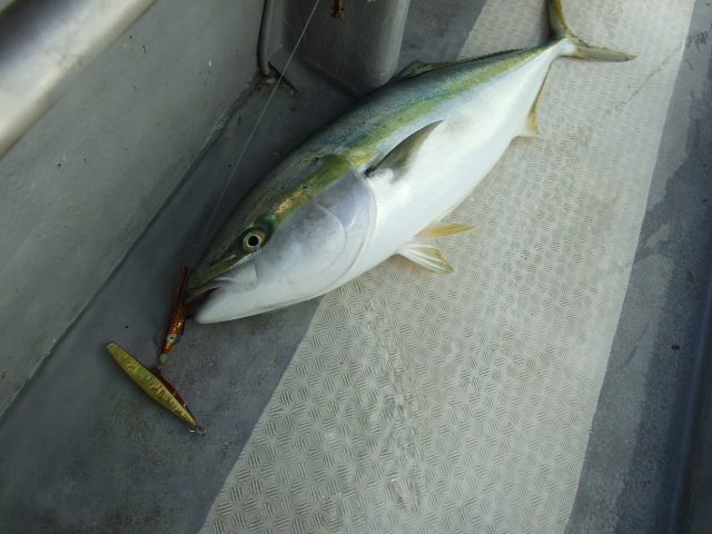DSCF4678.JPG