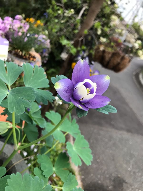 rblog-20190419193545-01.jpg