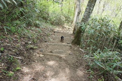 DSC00656.jpg