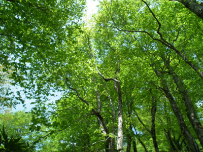 DSCF4546.jpg