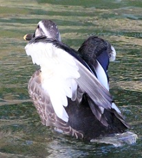 E7D_8475-2.jpg