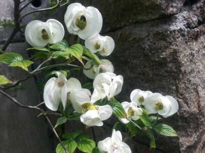 rblog-20140501173233-00.jpg