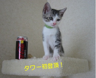 20120706_4.jpg