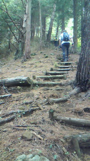 201206101039000.jpg