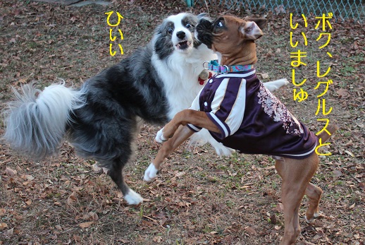 ひいい