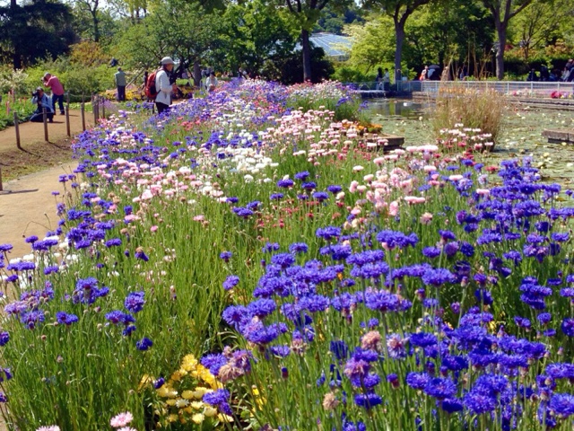 rblog-20130503150145-03.jpg