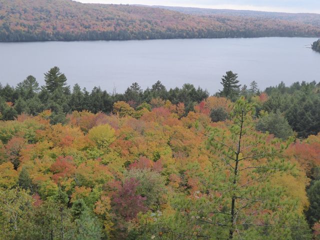 カナダのアルゴンキン州立公園の紅葉は真っ盛り 大道無門 パソコンとインターネット 楽天ブログ