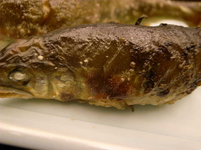 RIMG21440.JPG