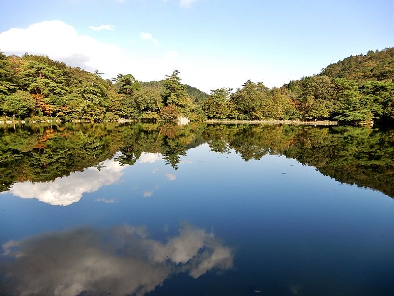 再度公園と修法ケ原池 ジュラのお散歩花日記 楽天ブログ