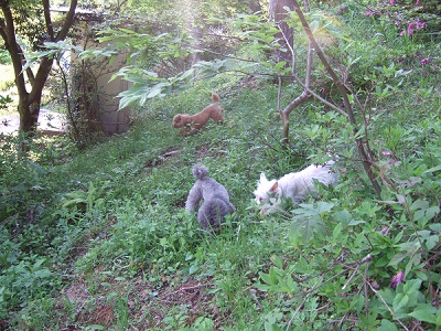DSCF9578 400.jpg
