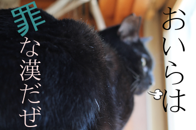 IMG_1461.png