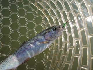 20130512_kawagoe_03.jpg