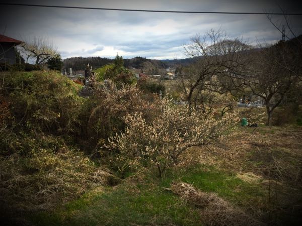 rblog-20160327104232-03.jpg