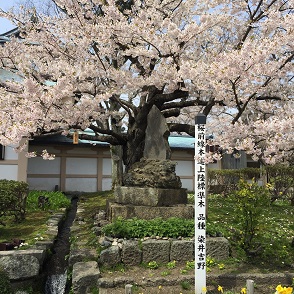 ５－６４城４.JPG